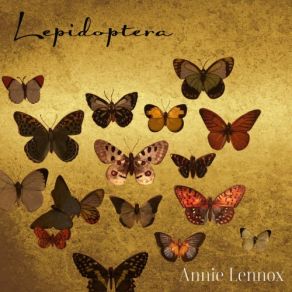 Download track Hesperiidae Annie Lennox