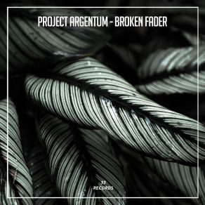 Download track Heart Feel Project Argentum