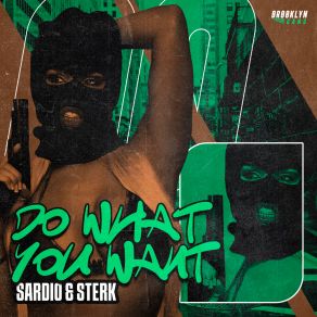 Download track Do What You Want (Extended Mix) Sterk