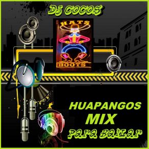 Download track Huapango La Lambada - Mix Instrumental DJ Cocos