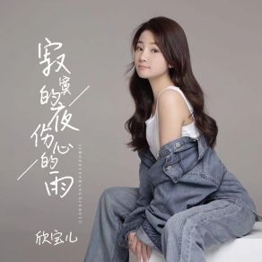 Download track 寂寞的夜伤心的雨 (DJ京仔版) 欣宝儿