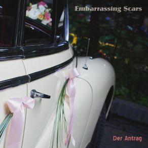 Download track Schlanke Embarrassing Scars