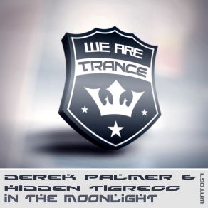 Download track In'the Moonlight (Extended Mix) Derek Palmer, Hidden Tigress