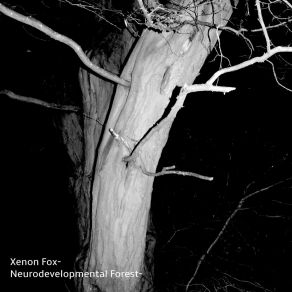 Download track Neurodevelopmental Forest (Main Mix) Xenon Fox