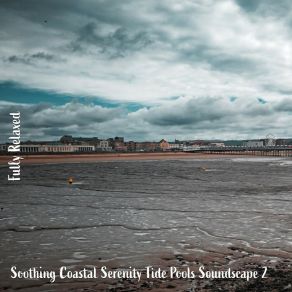 Download track Soothing Coastal Serenity Tide Pools Soundscape, Pt. 3 Steve Brassel