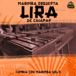 Download track La Vecina Me Puso El Dedo Marimba Orquesta Lira De Chiapas