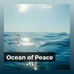 Download track Ocean Pat Sea Waves Sounds