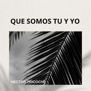 Download track A Ver Si Ahora Hector Tricoche