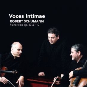 Download track 03 Piano Trio In D Minor Op. 63： III. Langsam, Mit Inniger Empfindung Robert Schumann