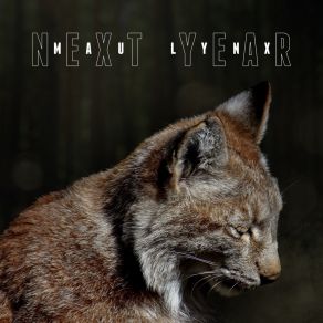 Download track Calls Mau Lynx