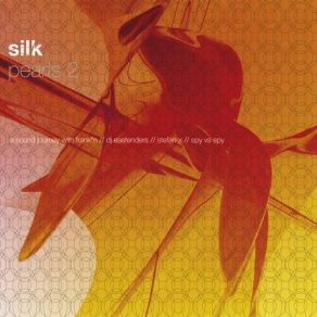 Download track Silk Dub Move D