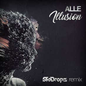 Download track Illusion (SkiDropz 2k18 Remix) Alle