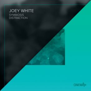 Download track Distraction Joey White