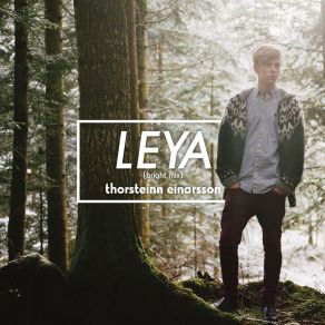 Download track Leya (Bright Mix) Thorsteinn Einarsson