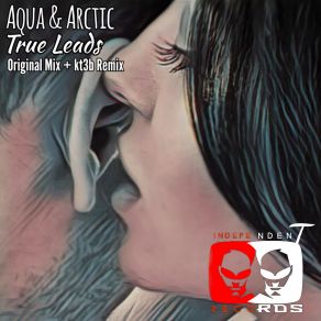 Download track True Leads (Kt3b Remix) Aqua & ArcticKt3b