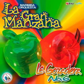 Download track La Vecina Me Puso El Dedo Marimba Orquesta La Gran Manzana