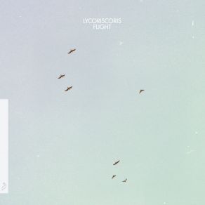 Download track Kite Lycoriscoris