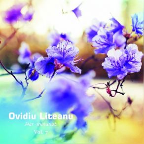 Download track Ce Folos Ovidiu Liteanu