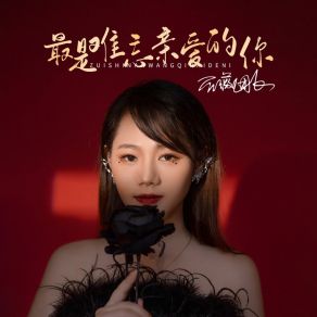 Download track 最是难忘亲爱的你 (Dj默涵版) 蔷薇团长默涵