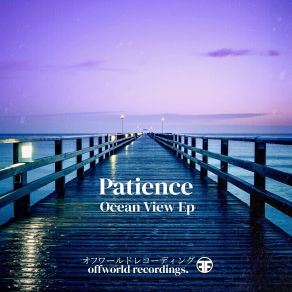 Download track Near Earth Orbit Patience