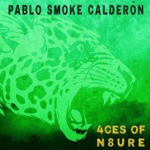 Download track Solimar Pablo Calderon