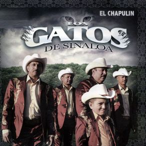 Download track El Chapulin Los Gatos De Sinaloa