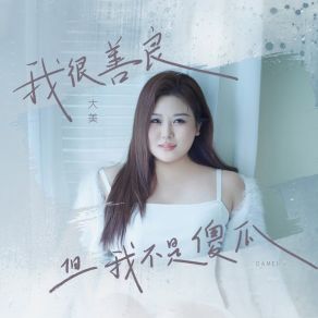 Download track 我很善良 但我不是傻瓜 大美