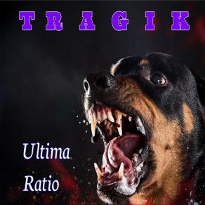 Download track Wet Dog Tragik