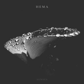 Download track Senses Hema