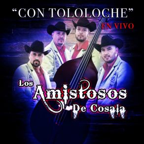 Download track Amor A La Ligera (En Vivo Con Tololoche) Los Amistosos De Cosala