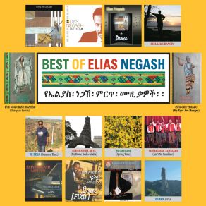 Download track Sethagibne Aznalehu (Ain't No Sunshine) Elias Negash