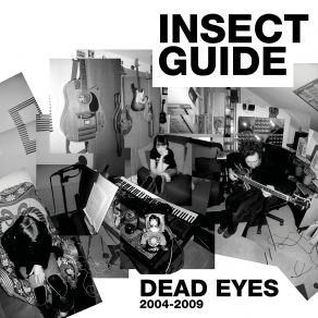 Download track Broken Insect Guide