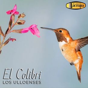 Download track El Zapatero Los Ulloenses