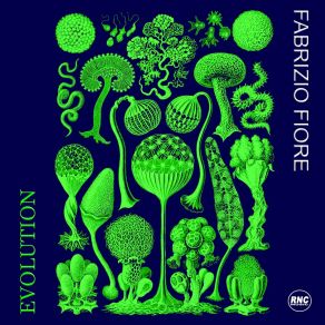 Download track Evolution (Extended Mix) Fabrizio Fiore