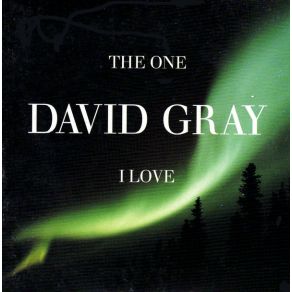 Download track The One I Love David Gray