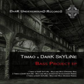 Download track Wild And Wild (Christian Schachinger Remix) Dark Skyline