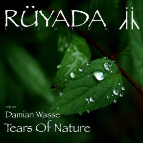 Download track Tears Of Nature (Original Mix) Damian Wasse