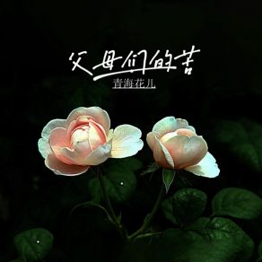 Download track 对唱直令2024 青海花儿