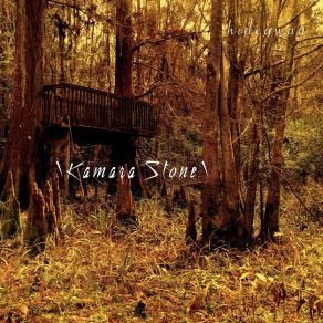 Download track Strange Medicine Kamara Stone