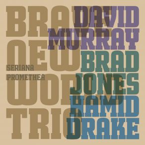 Download track Rainbows For Julia Brad Jones, David Murray, Hamid Drake