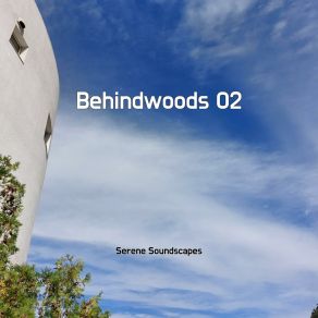 Download track Main Course Bee Gees Serene Soundscapes