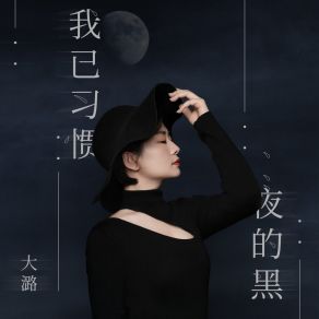 Download track 我已习惯夜的黑 (Dj九零版) 大潞九零