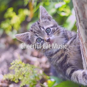 Download track Smart Jazz Guitar Trio - Vibe For Cats Cheerful Cat Music