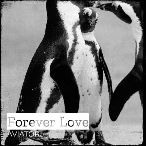 Download track Forever Love (Radio Edit) Aviator