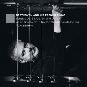 Download track Piano Sonata In F Minor, No. 23, Op. 57 I. Allegro Assai' Tom Beghin