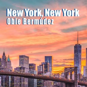 Download track New York, New York (Remix) Obie BermúdezWonder Waves