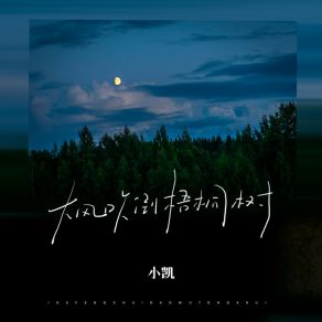 Download track 大风吹倒梧桐树 (伴奏) 小凯