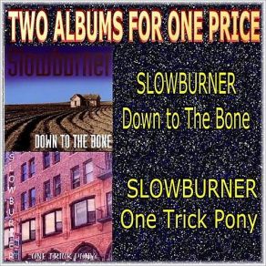 Download track Reptile Slowburner