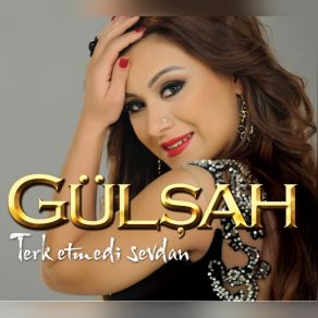 Download track Sevda Kolay İş Değilmiş Gülşah