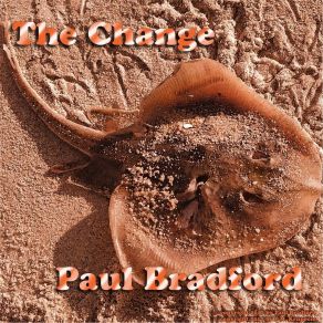 Download track The Change Paul Bradford